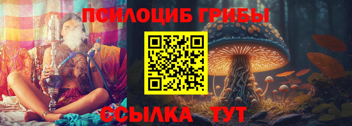 Псилоцибиновые грибы MAGIC MUSHROOMS  Вход с VPN  Псилоцибиновые грибы Psilocybe  Уссурийск 